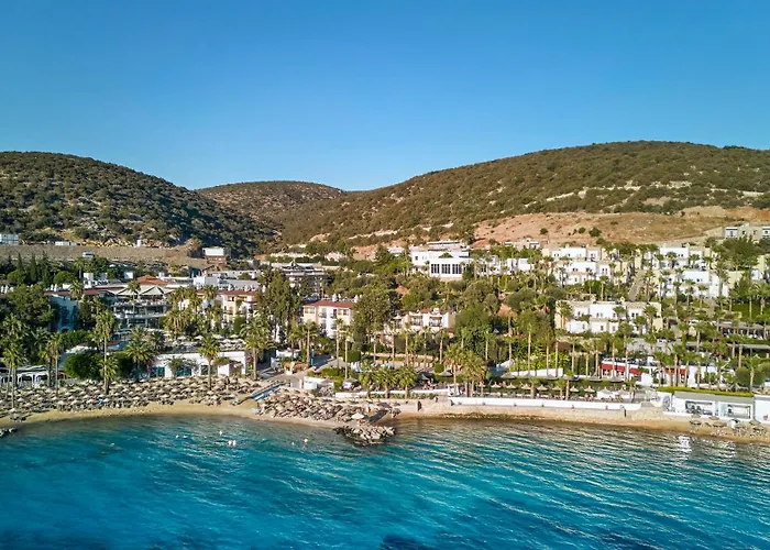 Tui Magic Life Bodrum - Adults Only